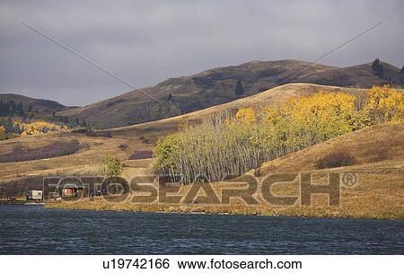 reesor lake alberta in fall autumn leaves View Large Photo Image Stock Photograph - reesor lake alberta in fall autumn leaves. Fotosearch