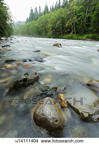 river verlot campground mt baker snoqualmie View Large Photo Image Picture - river verlot campground mt baker snoqualmie . Fotosearch