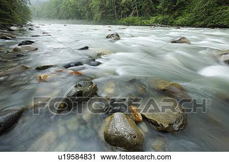 Stock Image -  river verlot campground mt baker snoqualmie . Fotosearch