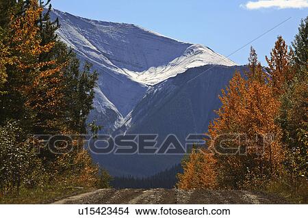 rocky mountains in autumn road highway pine View Large Photo Image Picture - rocky mountains in autumn road highway pine. Fotosearch