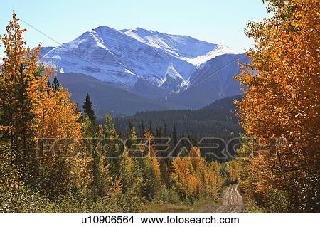 rocky mountains in autumn road pine trees colors View Large Photo Image Picture - rocky mountains in autumn road pine trees colors. Fotosearch