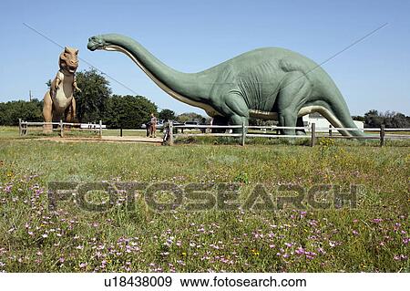 Stock Photo -  rose texas glen dinosaur valley state park rose. Fotosearch