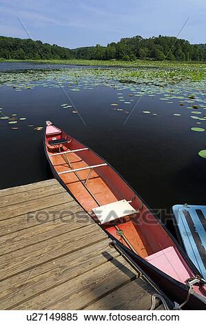 rusk texas state railroad park lake lotuses View Large Photo Image Stock Photography - rusk texas state railroad park lake lotuses. Fotosearch