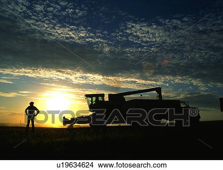 silhouette frame border pattern harvest farming View Large Photo Image Picture - silhouette frame border pattern harvest farming. Fotosearch