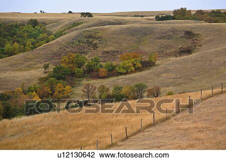 Stock Image -  summer color changing leaves in late scenic big . Fotosearch