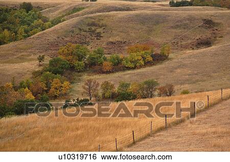 summer color changing leaves in late scenic big View Large Photo Image Stock Photograph - summer color changing leaves in late scenic big . Fotosearch
