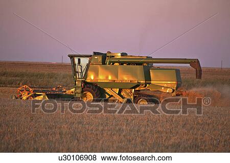 summer farmer combining sunset in scenic crop View Large Photo Image Stock Photo - summer farmer combining sunset in scenic crop . Fotosearch