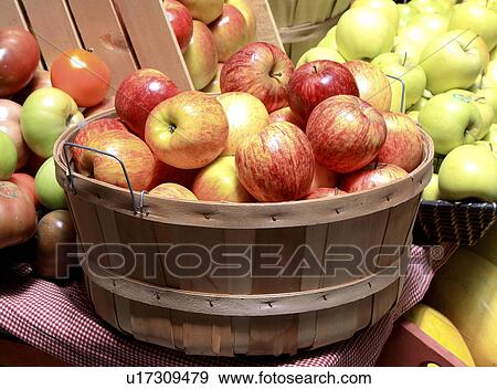 summer fruit baskets ripe red green apples View Large Photo Image Stock Photo - summer fruit baskets ripe red green apples . Fotosearch