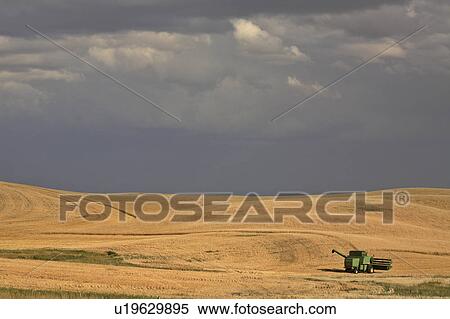 Stock Photography -  summer idle combine storms clouds in scenic dark . Fotosearch