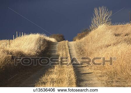 Stock Photograph -  summer nature gass covered country road horizon . Fotosearch