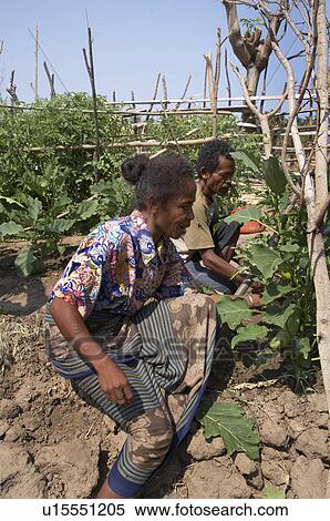 Stock Photography -  timor leste armanda suni husband sebastian anin. Fotosearch