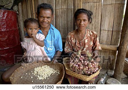 Stock Image -  timor leste husband wife maize seeds onions . Fotosearch