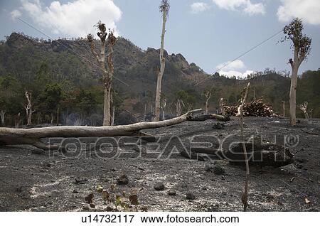 Stock Photo -  timor leste slash burn farming in east asia. Fotosearch