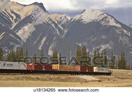 train passing through rocky mountains alberta View Large Photo Image Stock Photography - train passing through rocky mountains alberta. Fotosearch