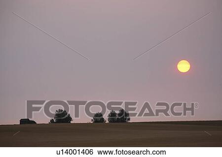 Stock Photograph -  tree sun art morning seen through thin clouds . Fotosearch