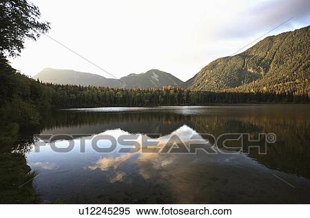 water hart lake in awesome alberta reflection View Large Photo Image Stock Photography - water hart lake in awesome alberta reflection. Fotosearch