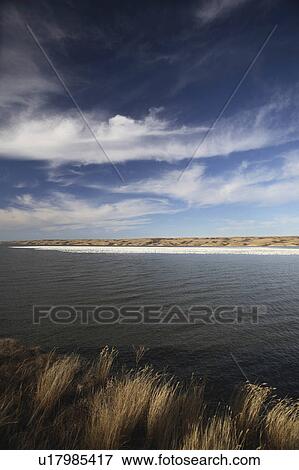 water huge flock snow geese lake goose animal View Large Photo Image Stock Photo - water huge flock snow geese lake goose animal . Fotosearch
