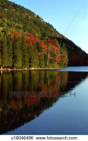 water pattern autumn trees reflected in bubble View Large Photo Image Stock Photograph - water pattern autumn trees reflected in bubble . Fotosearch