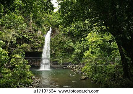 Picture -  water people nature person fiji tavoro waterfall. Fotosearch