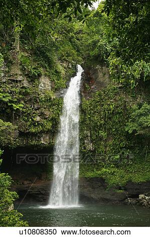 Stock Image -  water people nature person fiji tavoro waterfall. Fotosearch