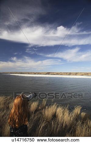 Stock Image -  water redheaded gril snow geese goose animal . Fotosearch
