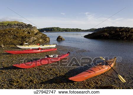 water summer sport kayaks island skeena river View Large Photo Image Stock Photo - water summer sport kayaks island skeena river. Fotosearch