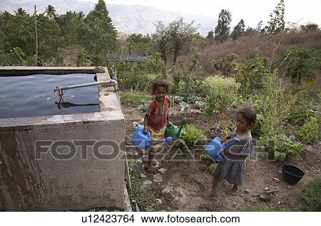 Picture -  water timor leste girls watering vegetable east. Fotosearch