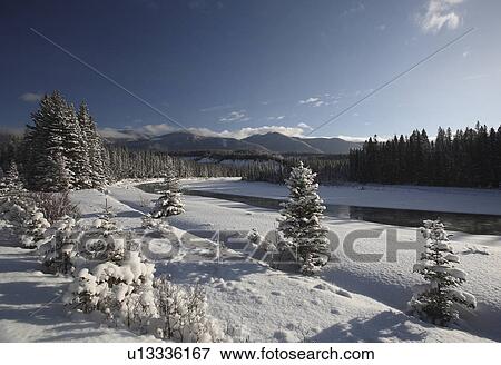 water tree winter snow covered road following View Large Photo Image Stock Photo - water tree winter snow covered road following. Fotosearch