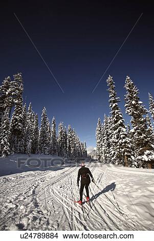 winter cross country skier enjoying skiing snow View Large Photo Image Picture - winter cross country skier enjoying skiing snow. Fotosearch