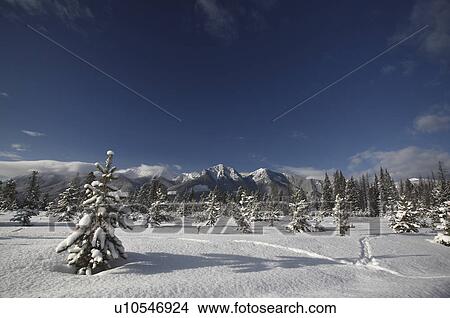 winter rocky mountains in snow covered shadows View Large Photo Image Picture - winter rocky mountains in snow covered shadows. Fotosearch