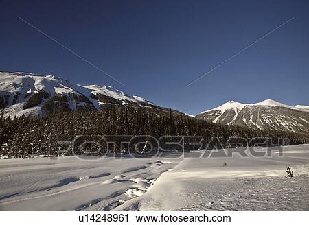 winter rocky mountains in snow covered clear ice View Large Photo Image Stock Image - winter rocky mountains in snow covered clear ice. Fotosearch