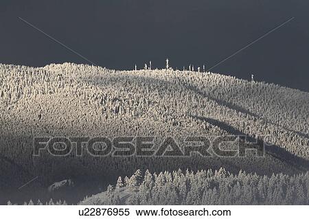 Stock Photography -  winter sun morning lighting forested hills wilds. Fotosearch
