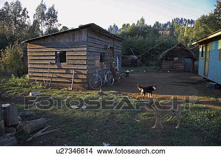 woman chile dwelling mapuche indian temuco south View Large Photo Image Picture - woman chile dwelling mapuche indian temuco south . Fotosearch