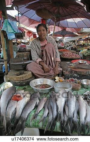 Picture -  woman food people border person fish myanmar se. Fotosearch