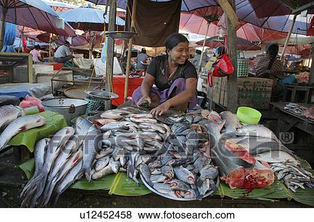 woman food people border person fish myanmar View Large Photo Image Stock Photo - woman food people border person fish myanmar . Fotosearch