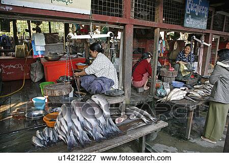 woman food people border person fish myanmar View Large Photo Image Stock Photo - woman food people border person fish myanmar . Fotosearch