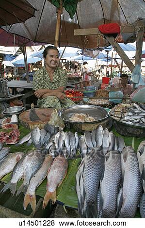 woman food people border person fish women north View Large Photo Image Stock Photo - woman food people border person fish women north. Fotosearch