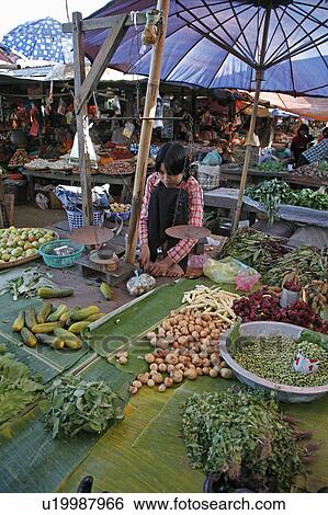 woman food people border person women myanmar View Large Photo Image Stock Photograph - woman food people border person women myanmar. Fotosearch