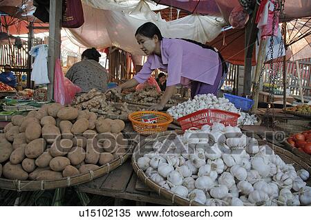 woman food people border person women myanmar View Large Photo Image Stock Photography - woman food people border person women myanmar. Fotosearch
