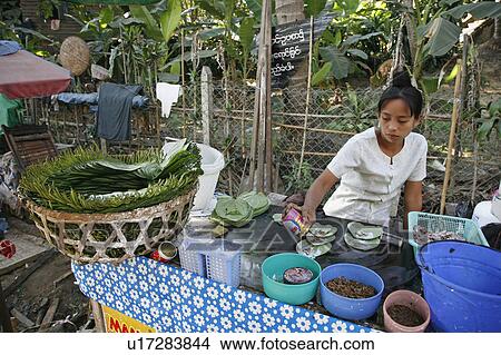 woman food people girl person women myanmar nut View Large Photo Image Picture - woman food people girl person women myanmar nut. Fotosearch