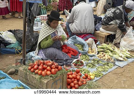 woman food people person women bolivia aymara View Large Photo Image Picture - woman food people person women bolivia aymara . Fotosearch