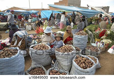 Stock Image -  woman food people person women bolivia aymara . Fotosearch