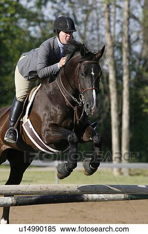 Stock Photography -  woman girl horse young female jumping over fence . Fotosearch