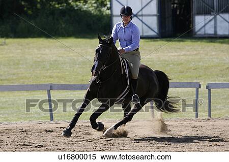 woman girl horse young riding through sharp turn View Large Photo Image Stock Photography - woman girl horse young riding through sharp turn. Fotosearch