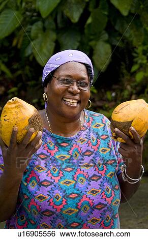 woman local coconuts in rain forest morne trois View Large Photo Image Stock Photograph - woman local coconuts in rain forest morne trois. Fotosearch