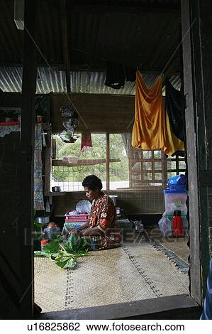 Stock Image -  woman people person women fiji preparing spinach. Fotosearch