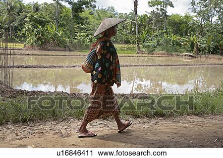 Stock Image -  woman people person women indonesia ciputat west . Fotosearch