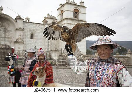 woman peru eagle yanque colca canyon america View Large Photo Image Stock Image - woman peru eagle yanque colca canyon america. Fotosearch