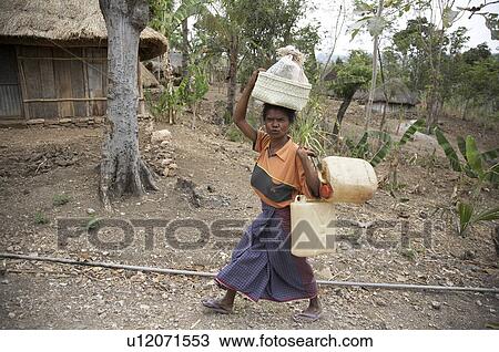 woman water timor leste female carrying View Large Photo Image Stock Image - woman water timor leste female carrying . Fotosearch