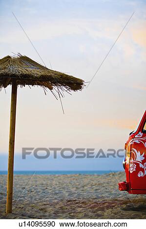 beach flowers sun this stock photo depicts red View Large Photo Image Stock Image - beach flowers sun this stock photo depicts red. Fotosearch